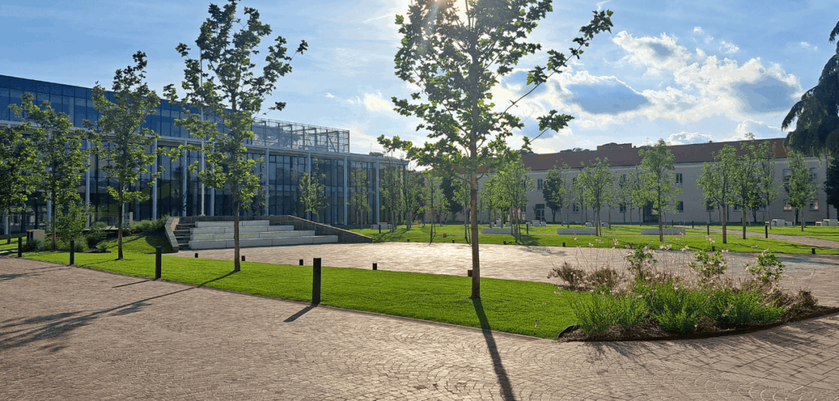 Politecnico di Milano