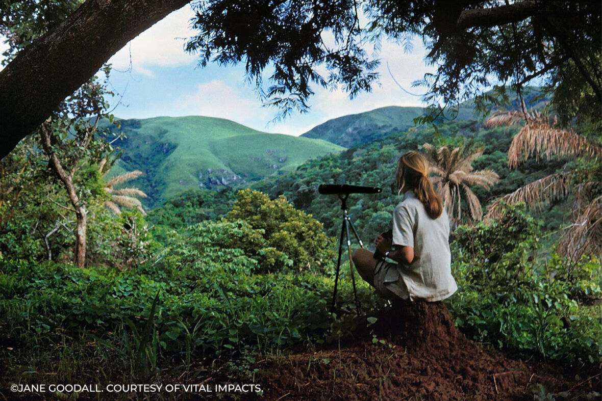 The nature of hope - Mostra fotografica per Jane Goodall